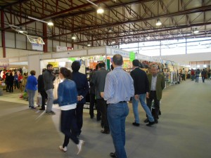 II FERIA DEL STOCK (63)