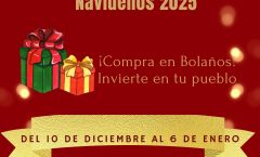 XI CONCURSO DE ESCAPARATES NAVIDEÑOS